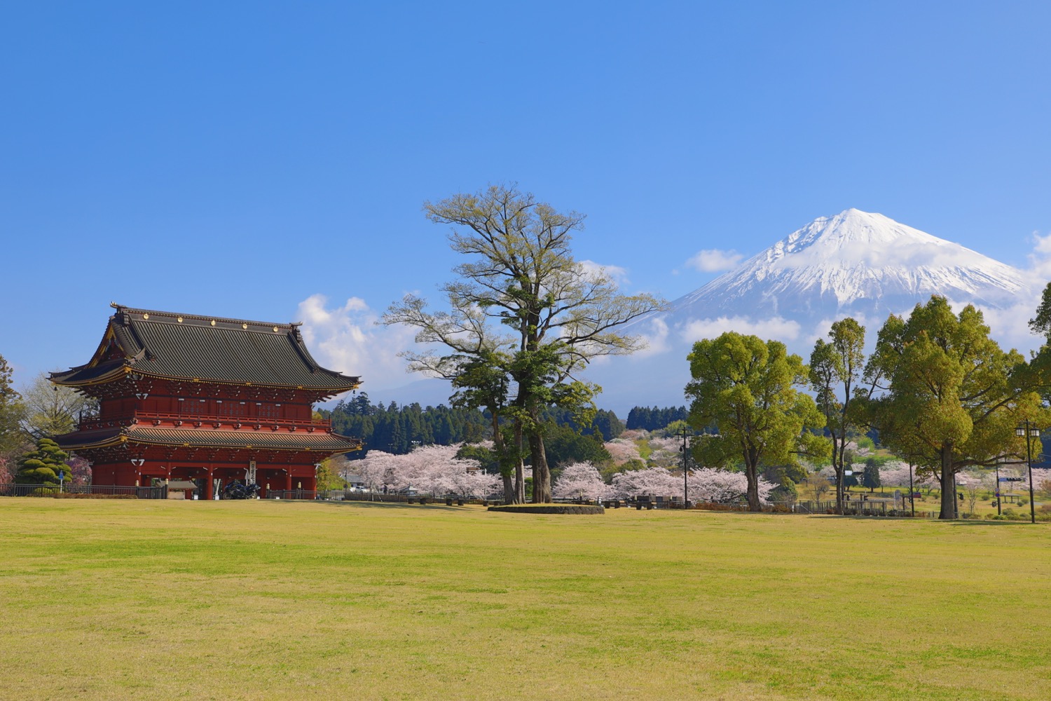 placeholder image-sq