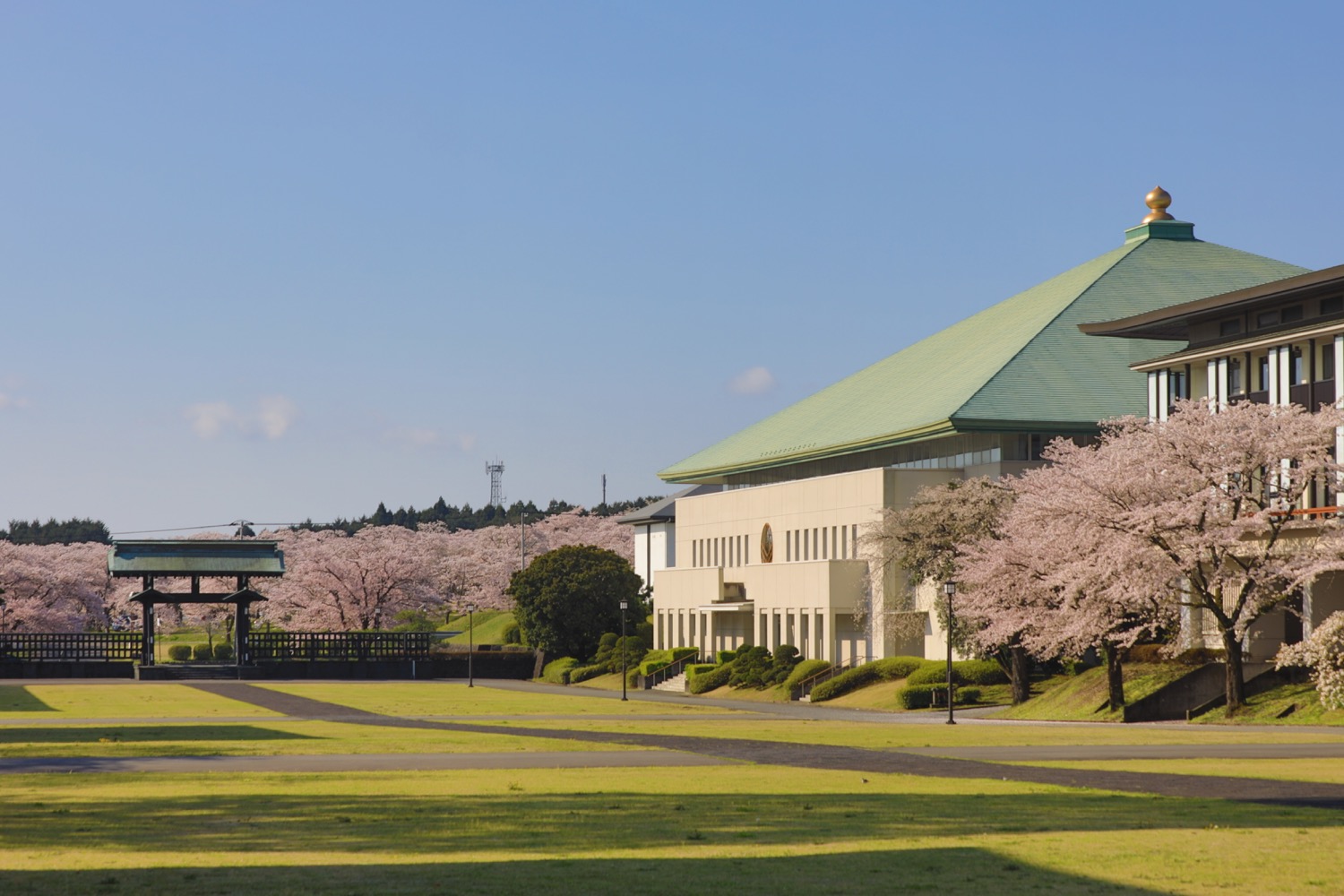 placeholder image-sq