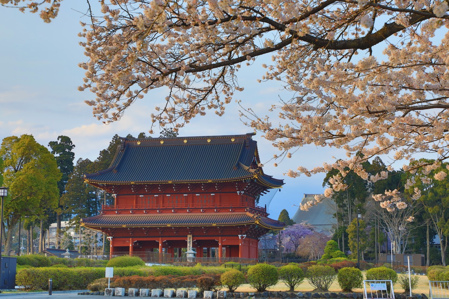 日蓮正宗公式ホームページ｜総本山大石寺｜総本山の四季〔春〕