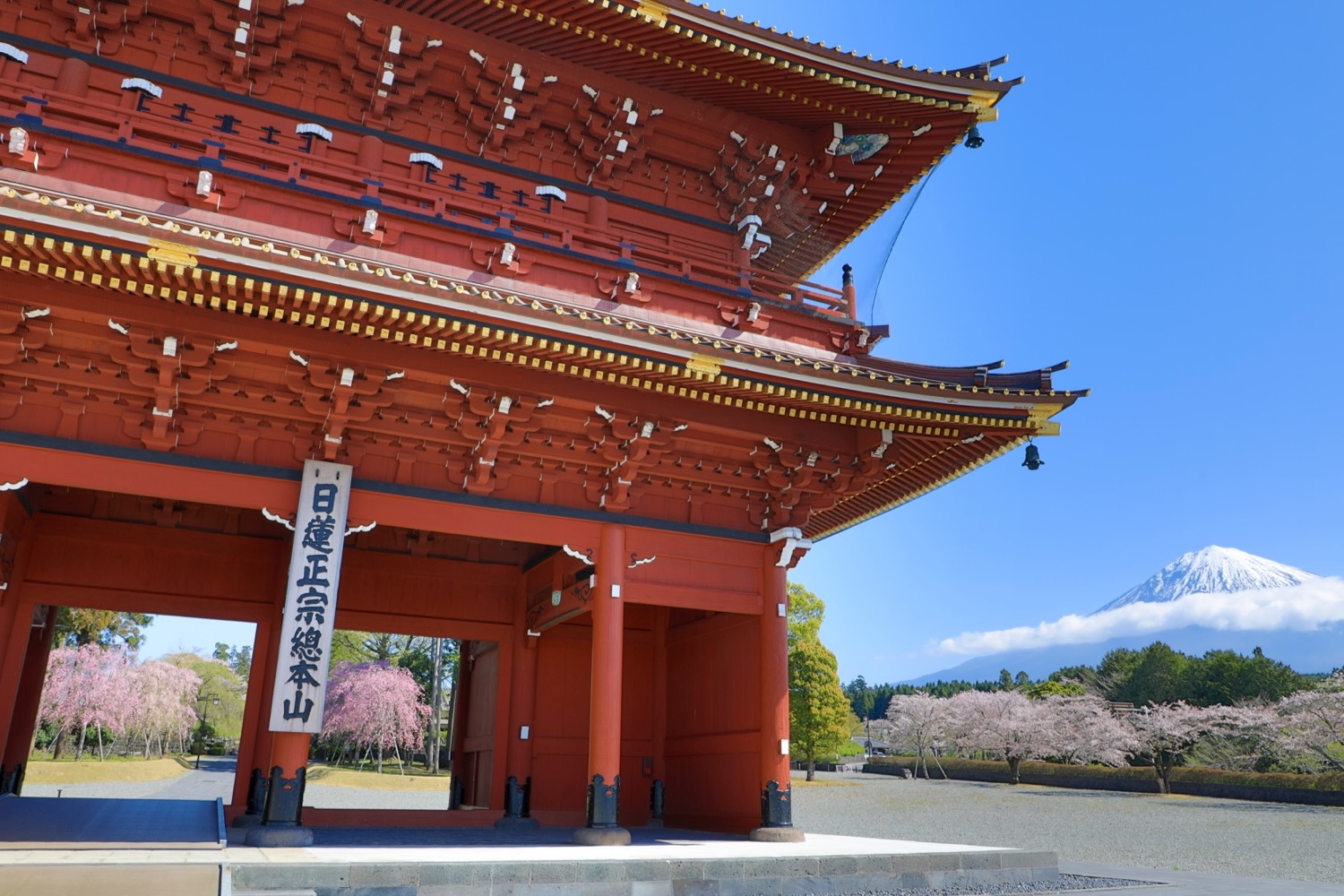 placeholder image-sq