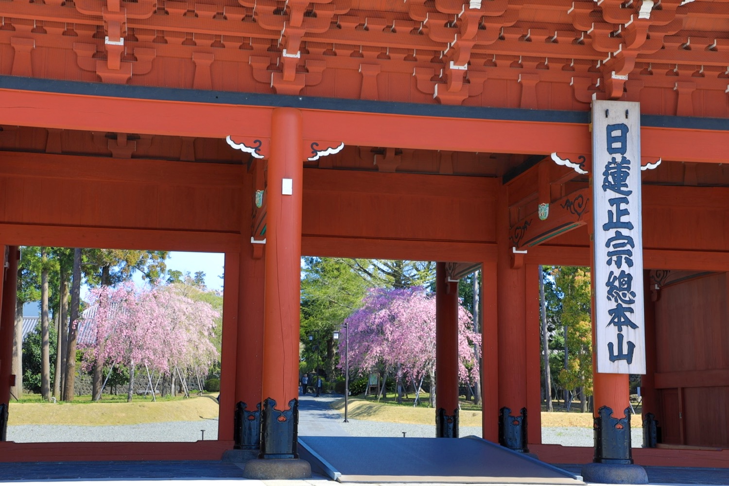 placeholder image-sq