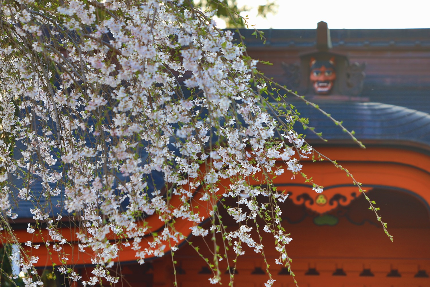 placeholder image-sq