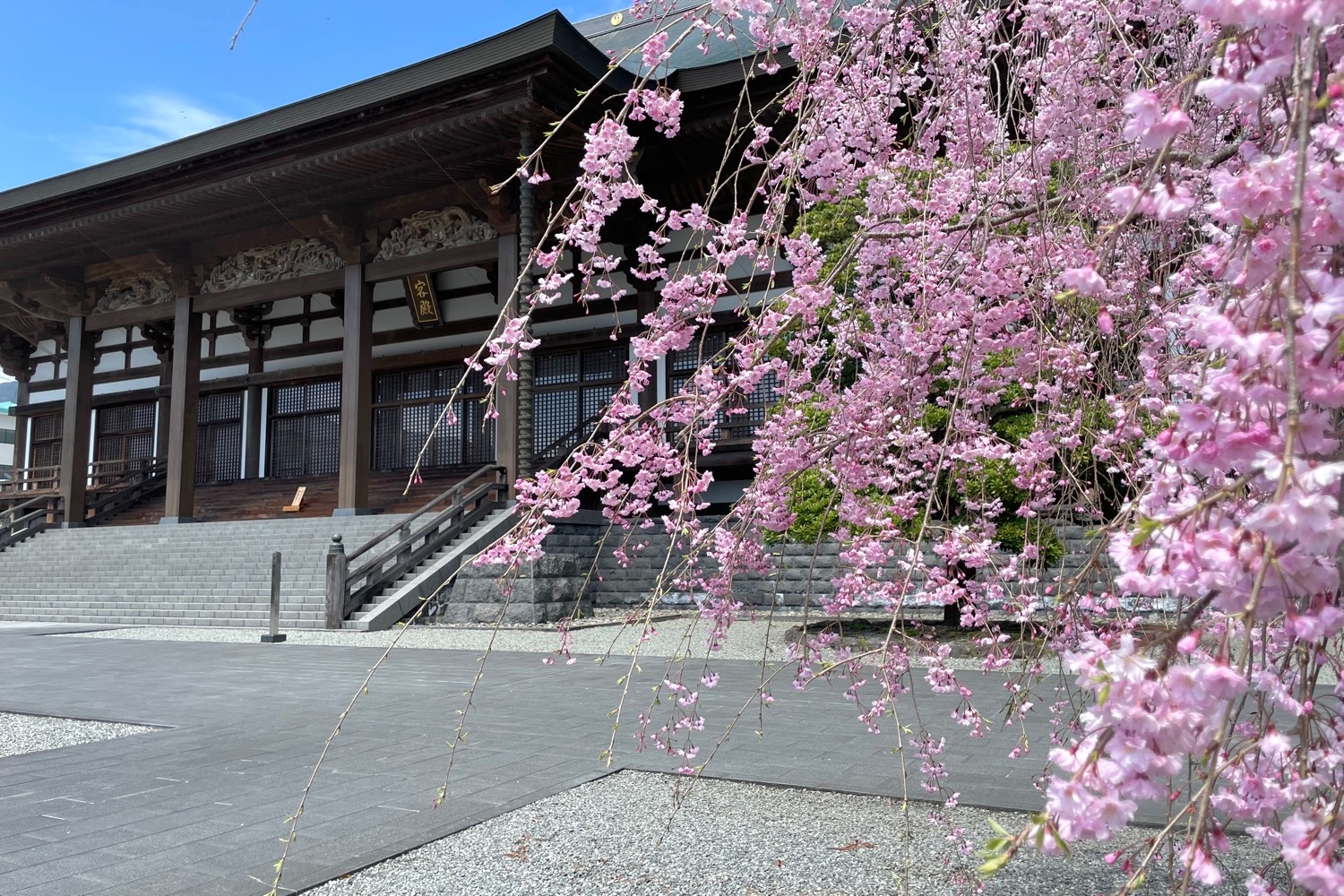 placeholder image-sq