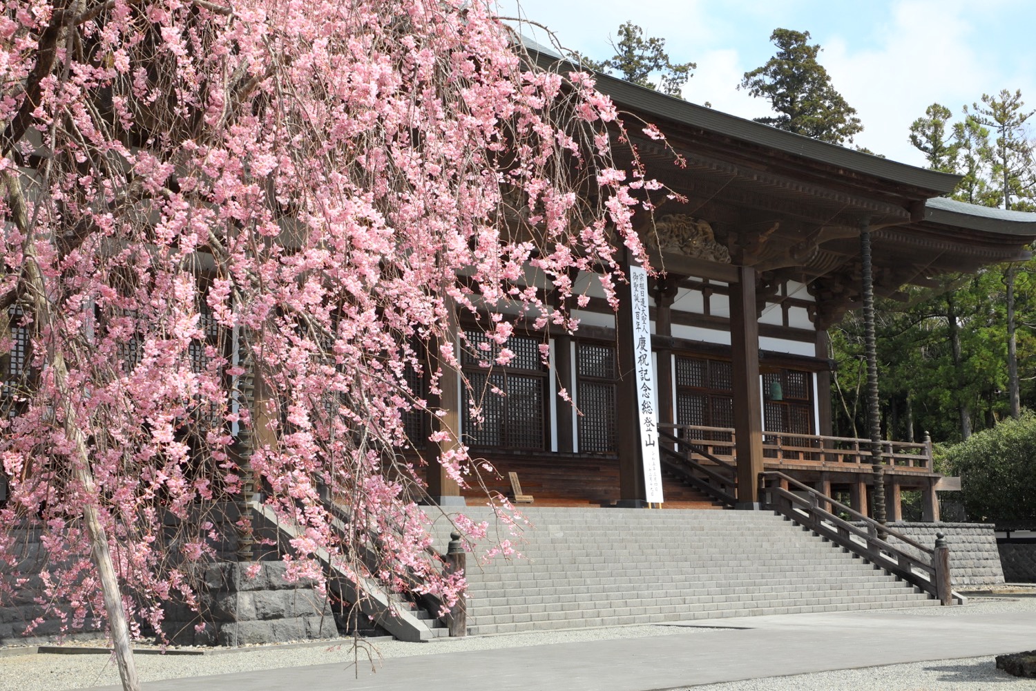 placeholder image-sq