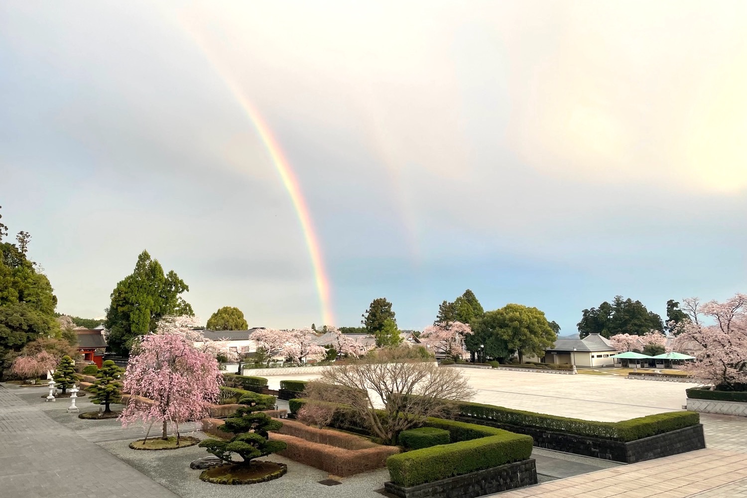 placeholder image-sq