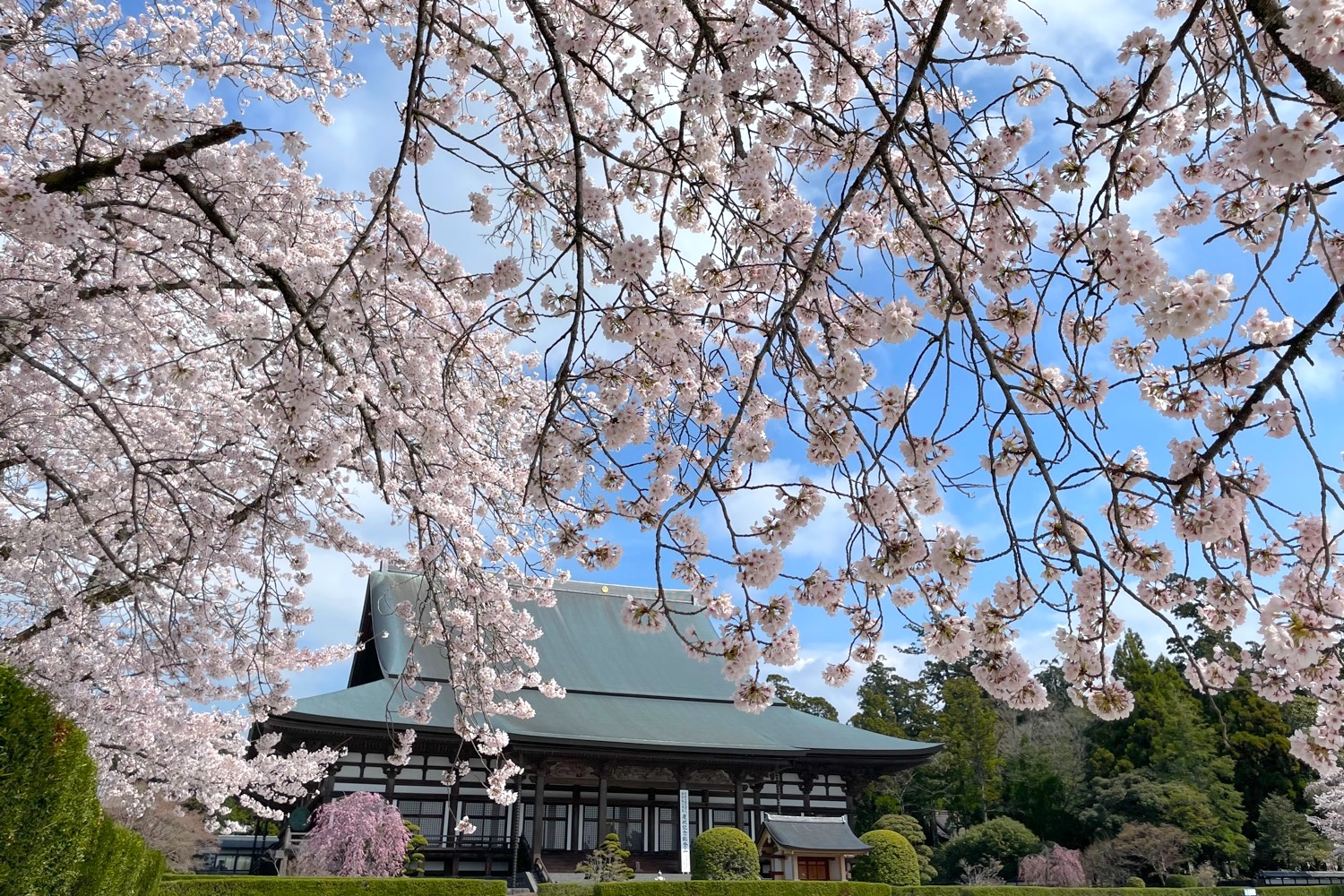 placeholder image-sq