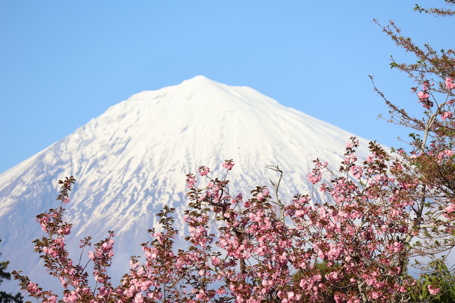 placeholder image-sq