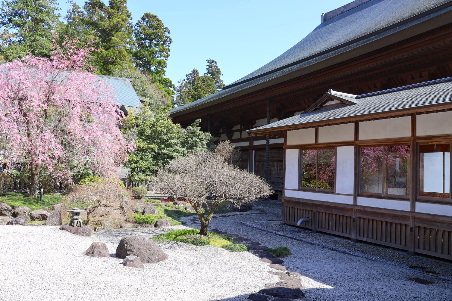 placeholder image-sq