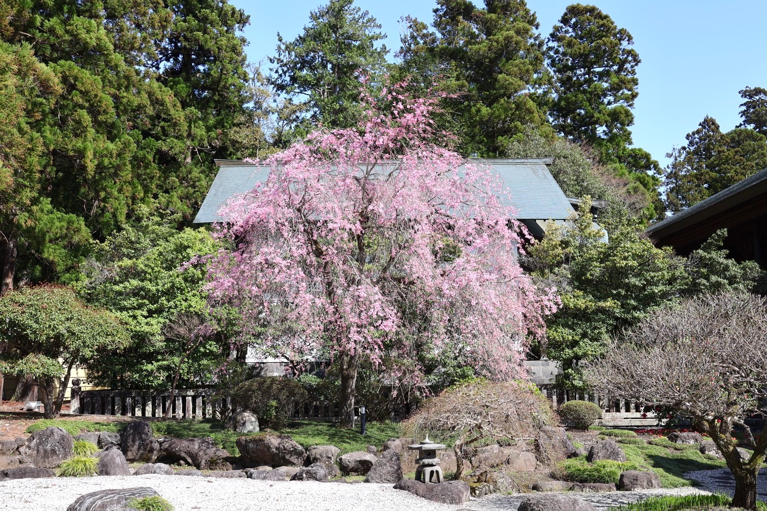 placeholder image-sq