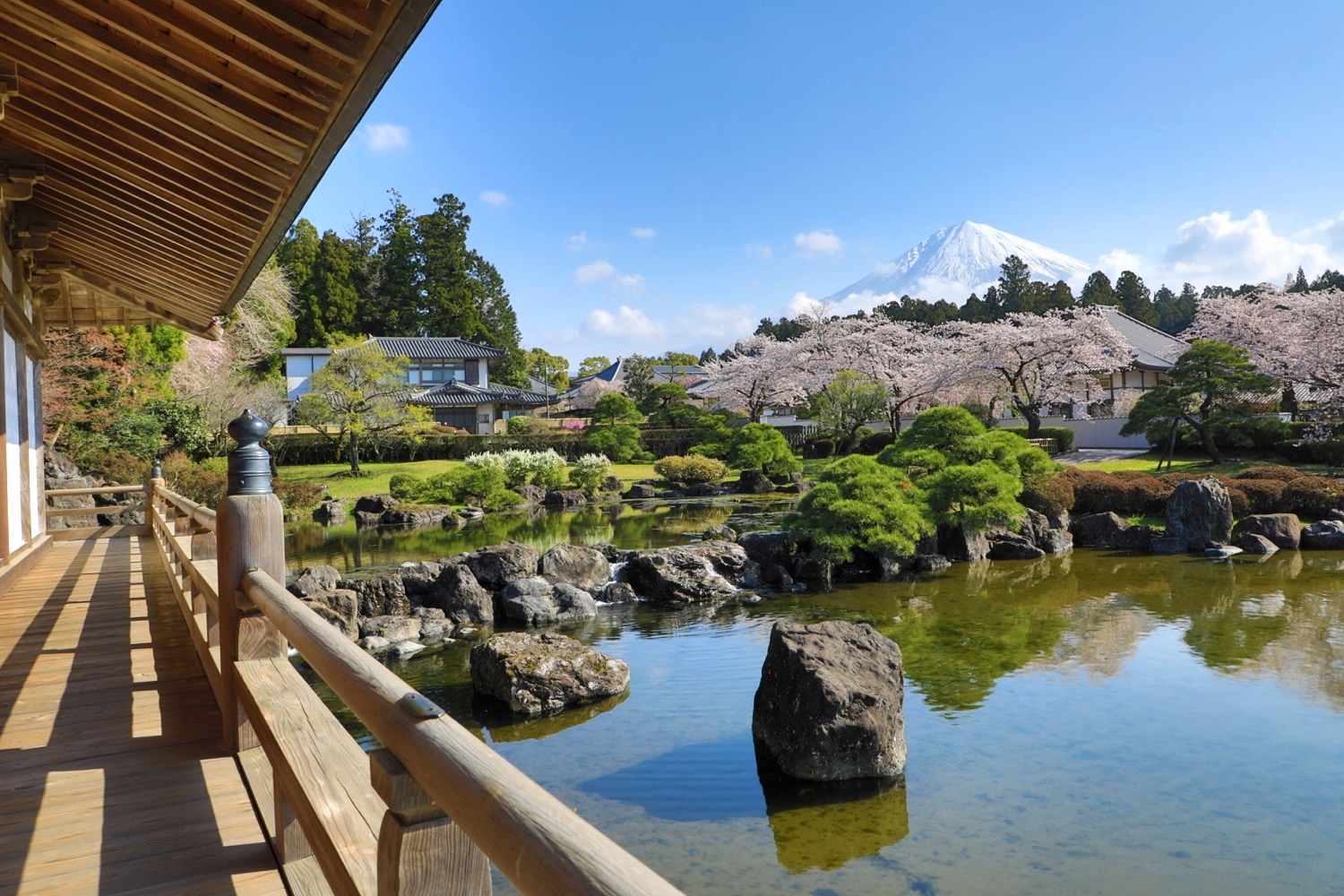 placeholder image-sq