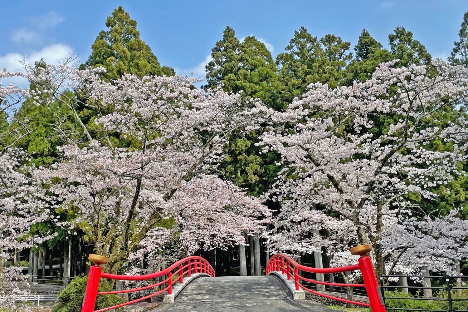 placeholder image-sq