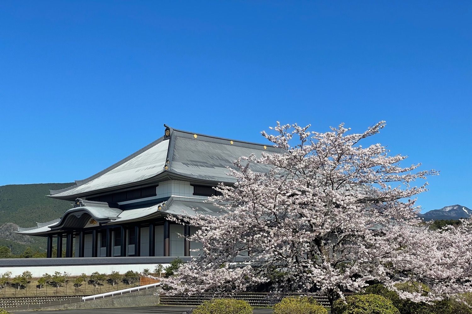 placeholder image-sq