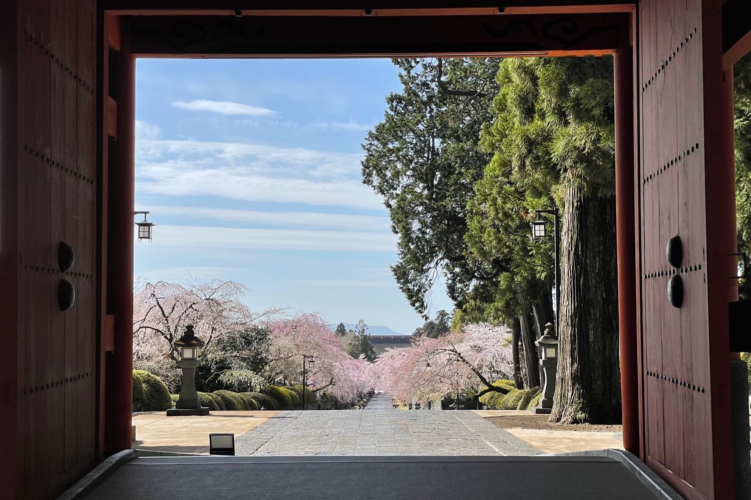 placeholder image-sq