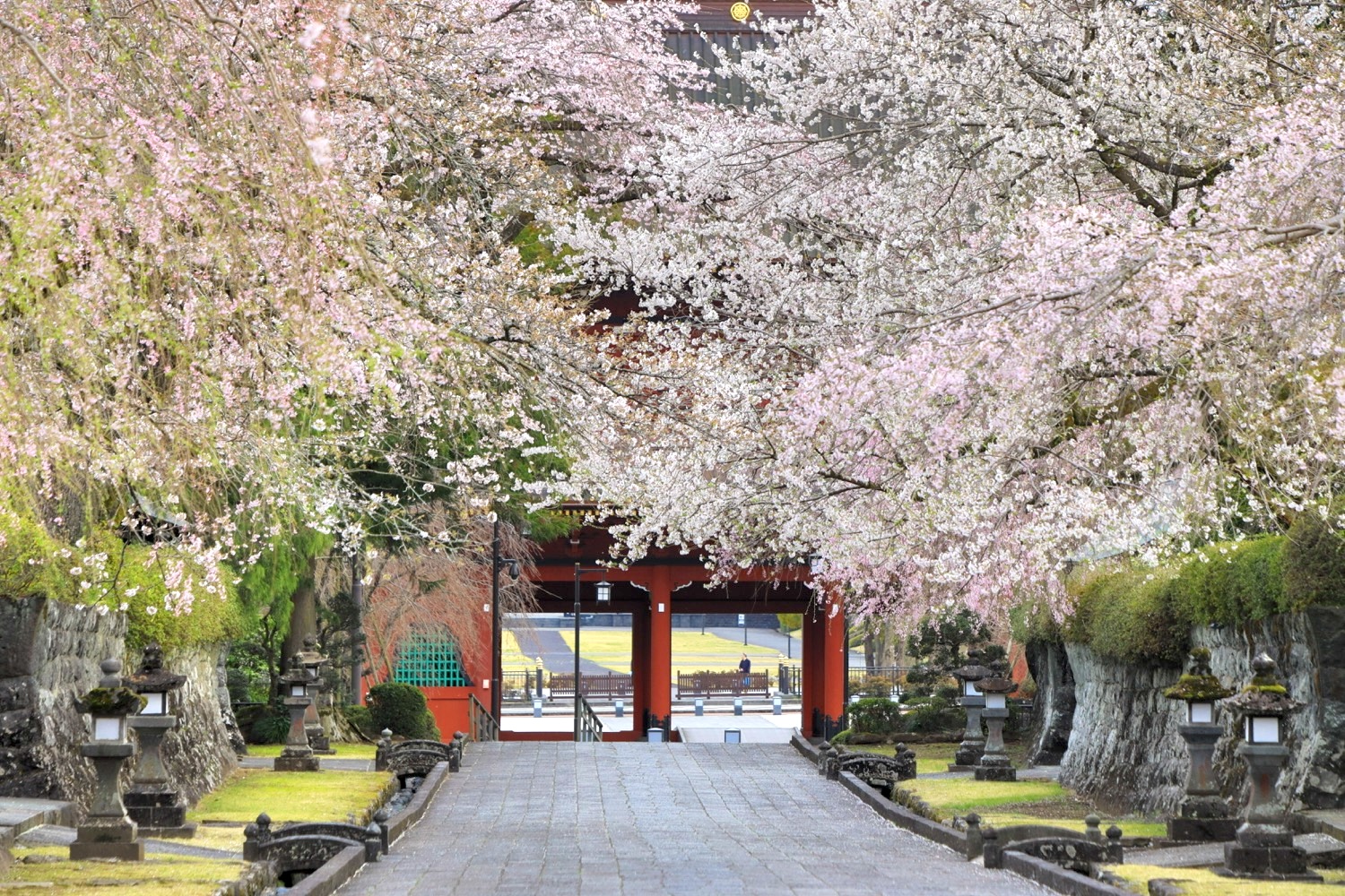 placeholder image-sq