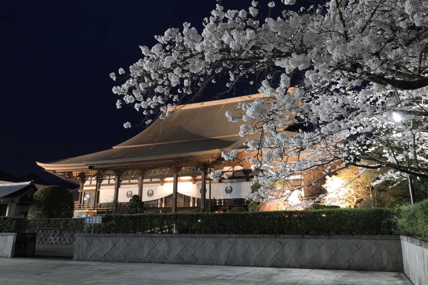 placeholder image-sq