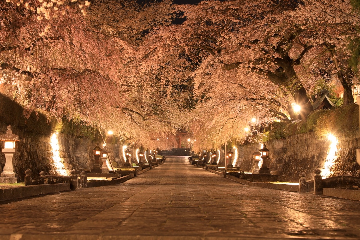 placeholder image-sq