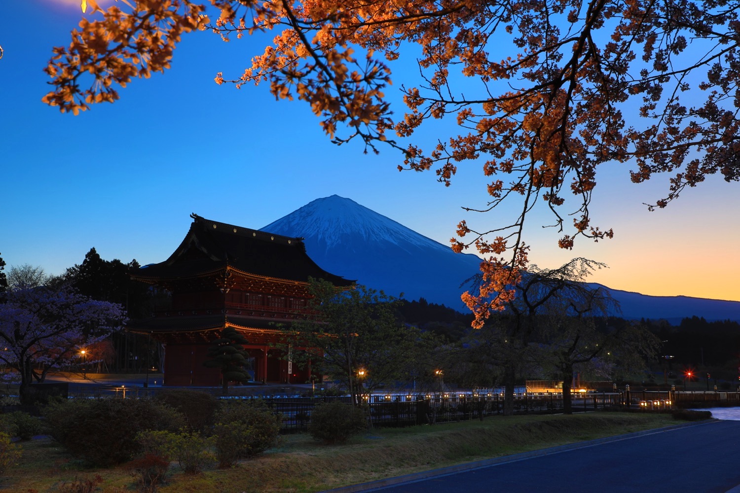 placeholder image-sq