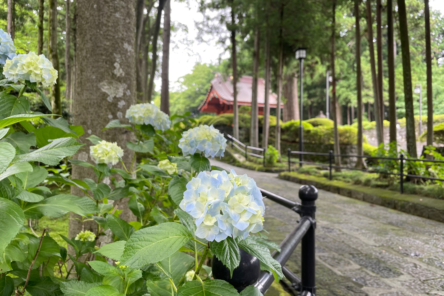 placeholder image-sq