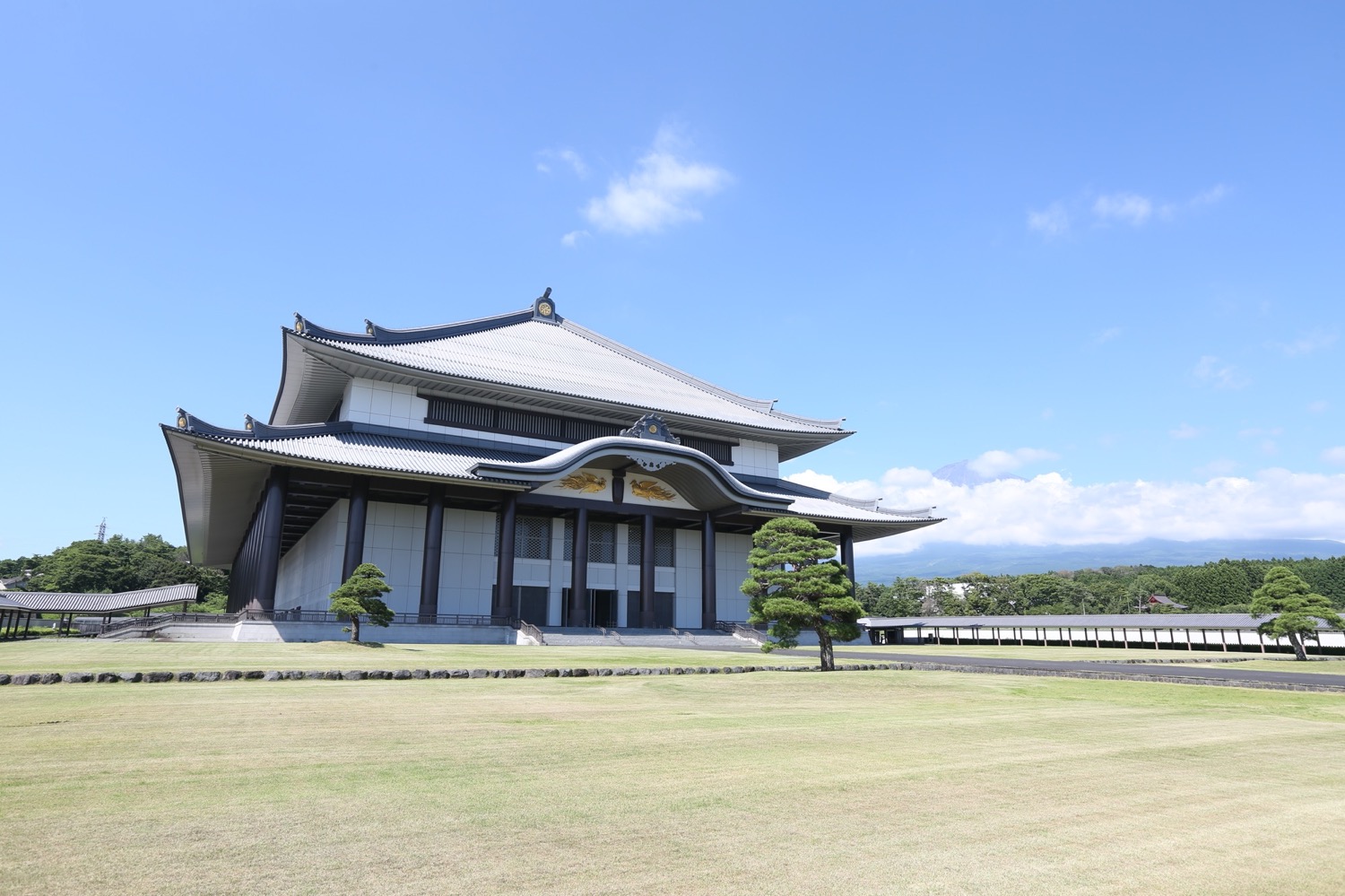 placeholder image-sq