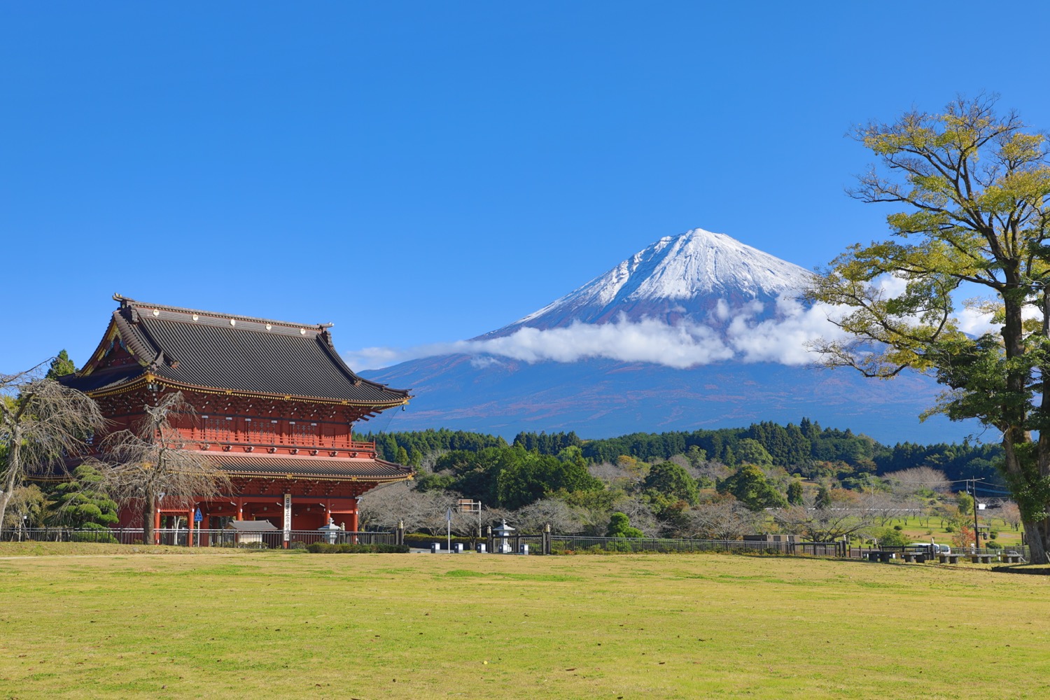 placeholder image-sq