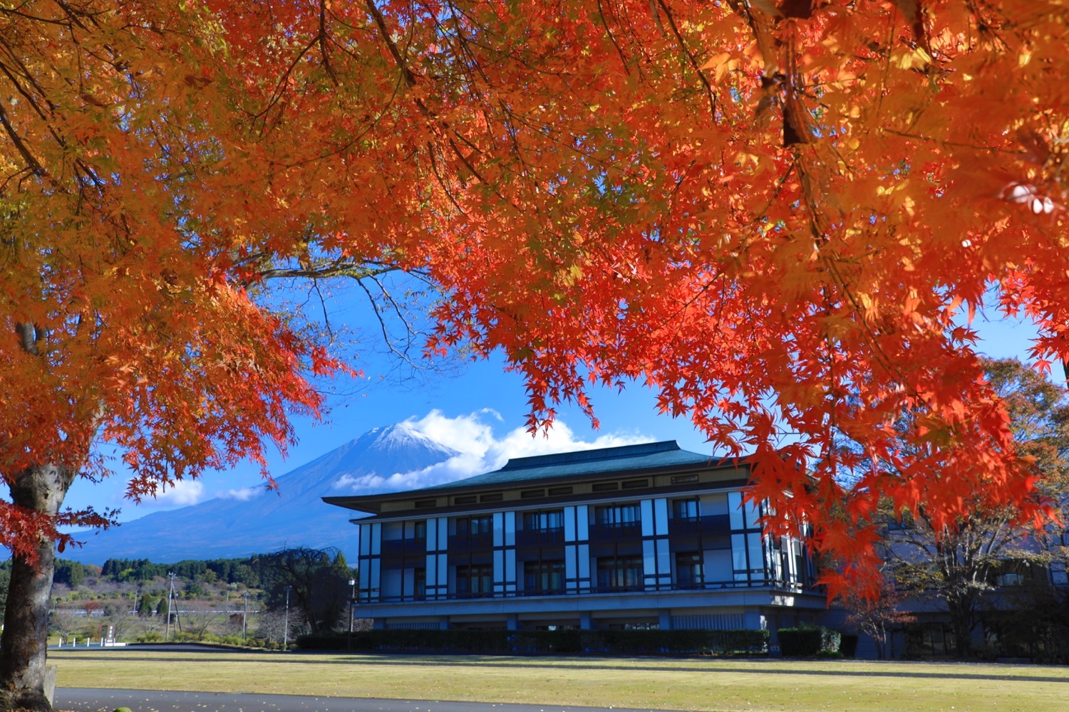 日蓮正宗公式ホームページ｜総本山大石寺｜総本山の四季〔秋〕