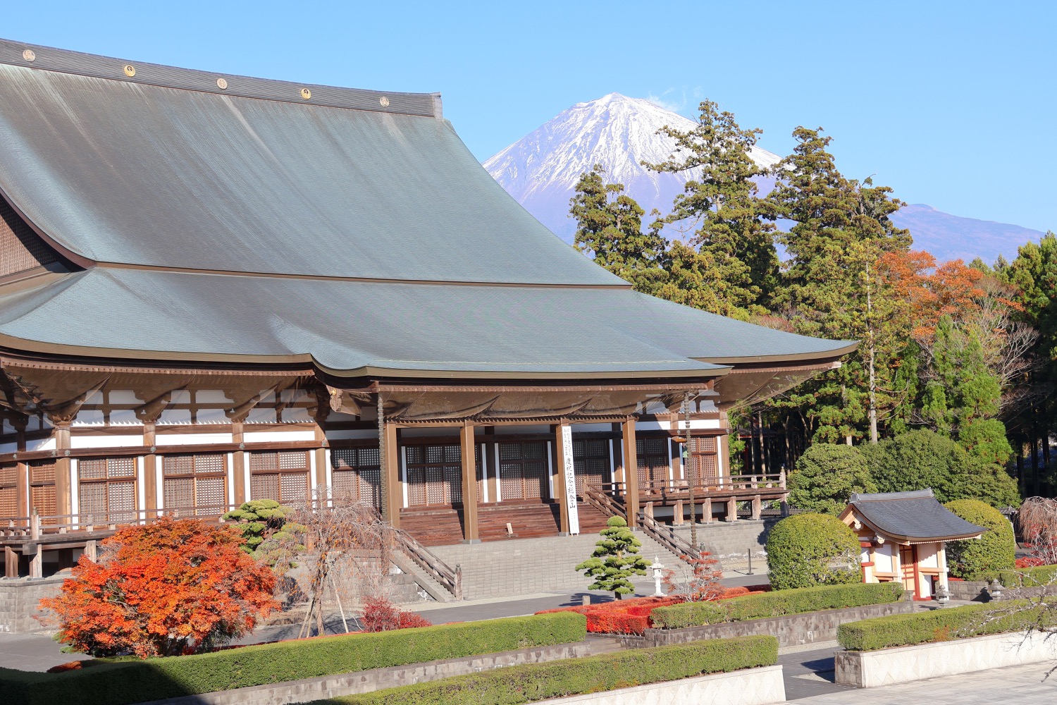 placeholder image-sq