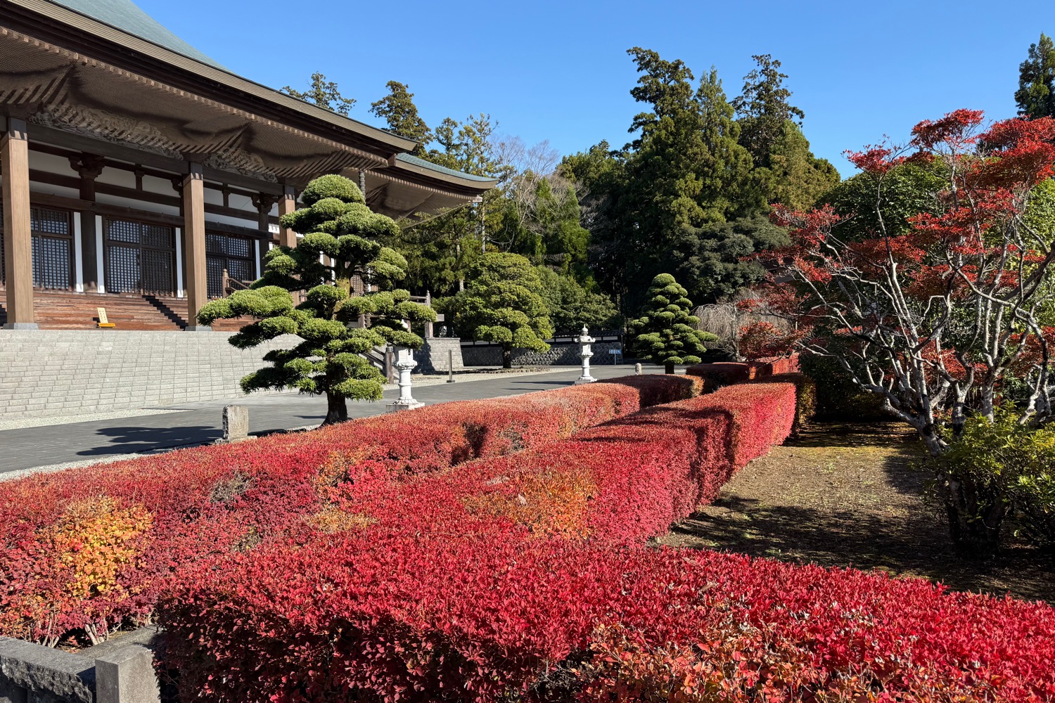 日蓮正宗公式ホームページ｜総本山大石寺｜総本山の四季〔秋〕