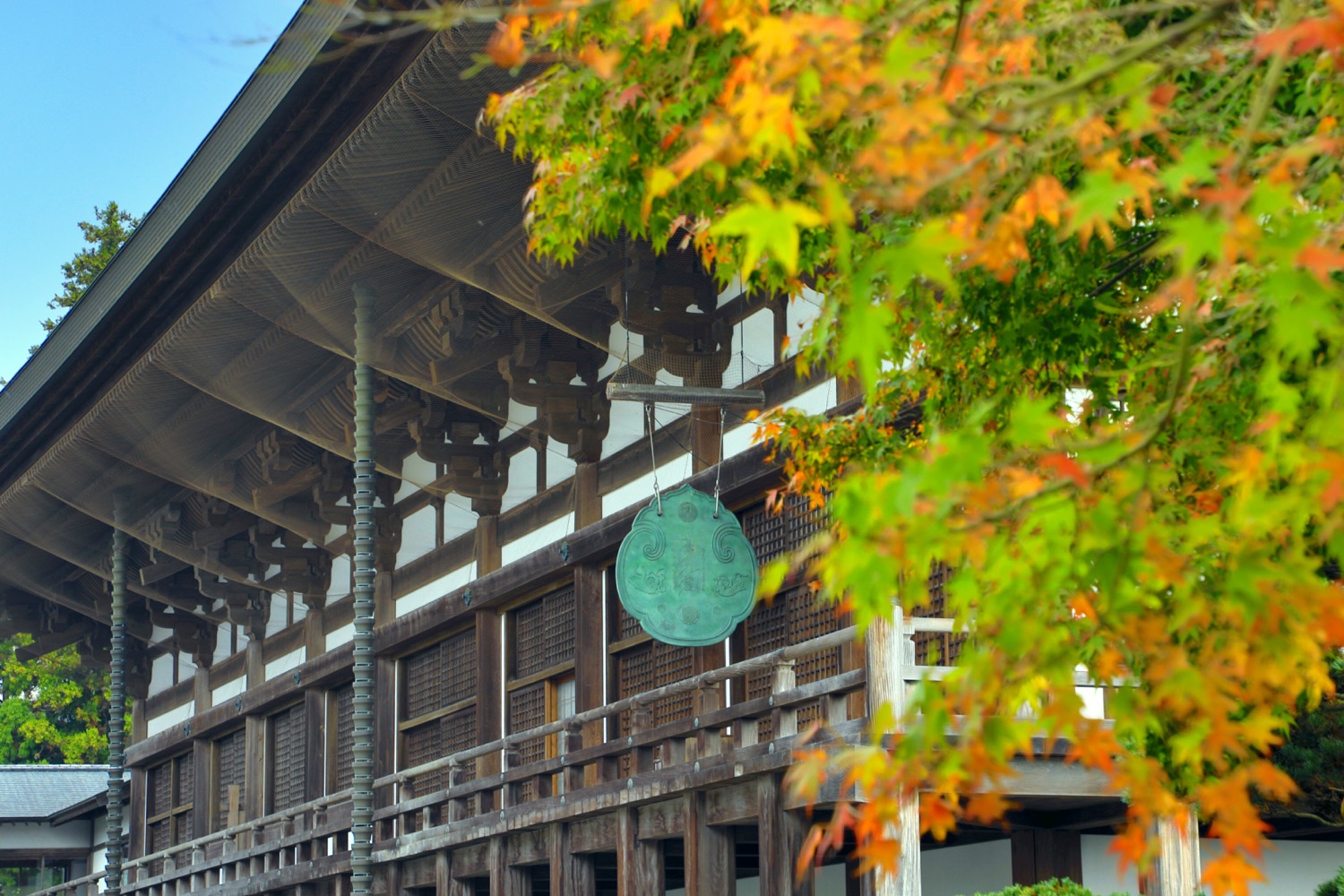 placeholder image-sq