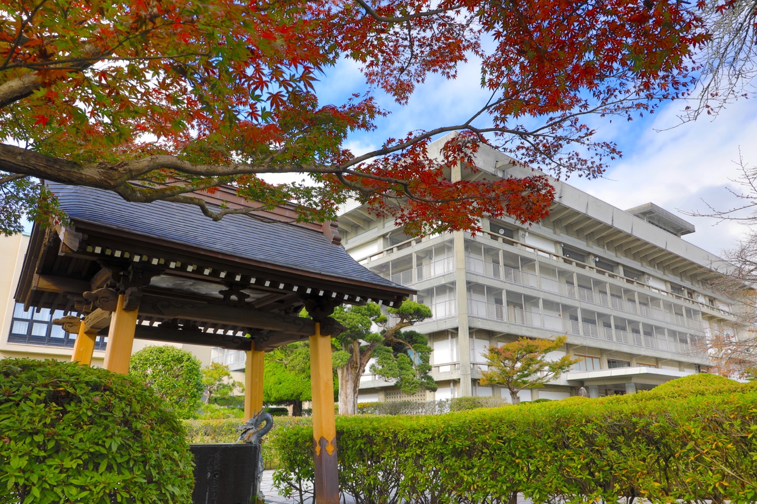 placeholder image-sq