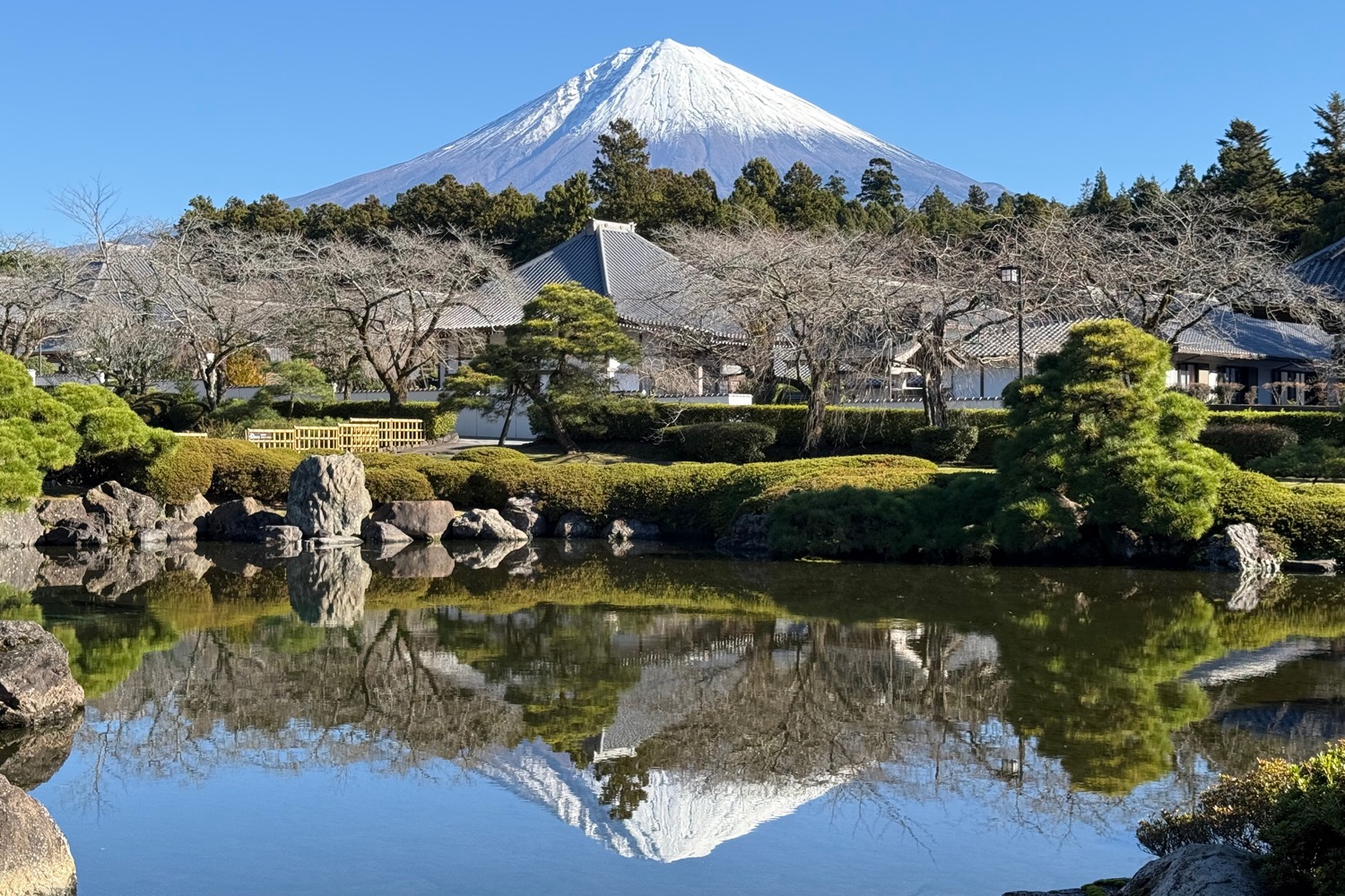 placeholder image-sq