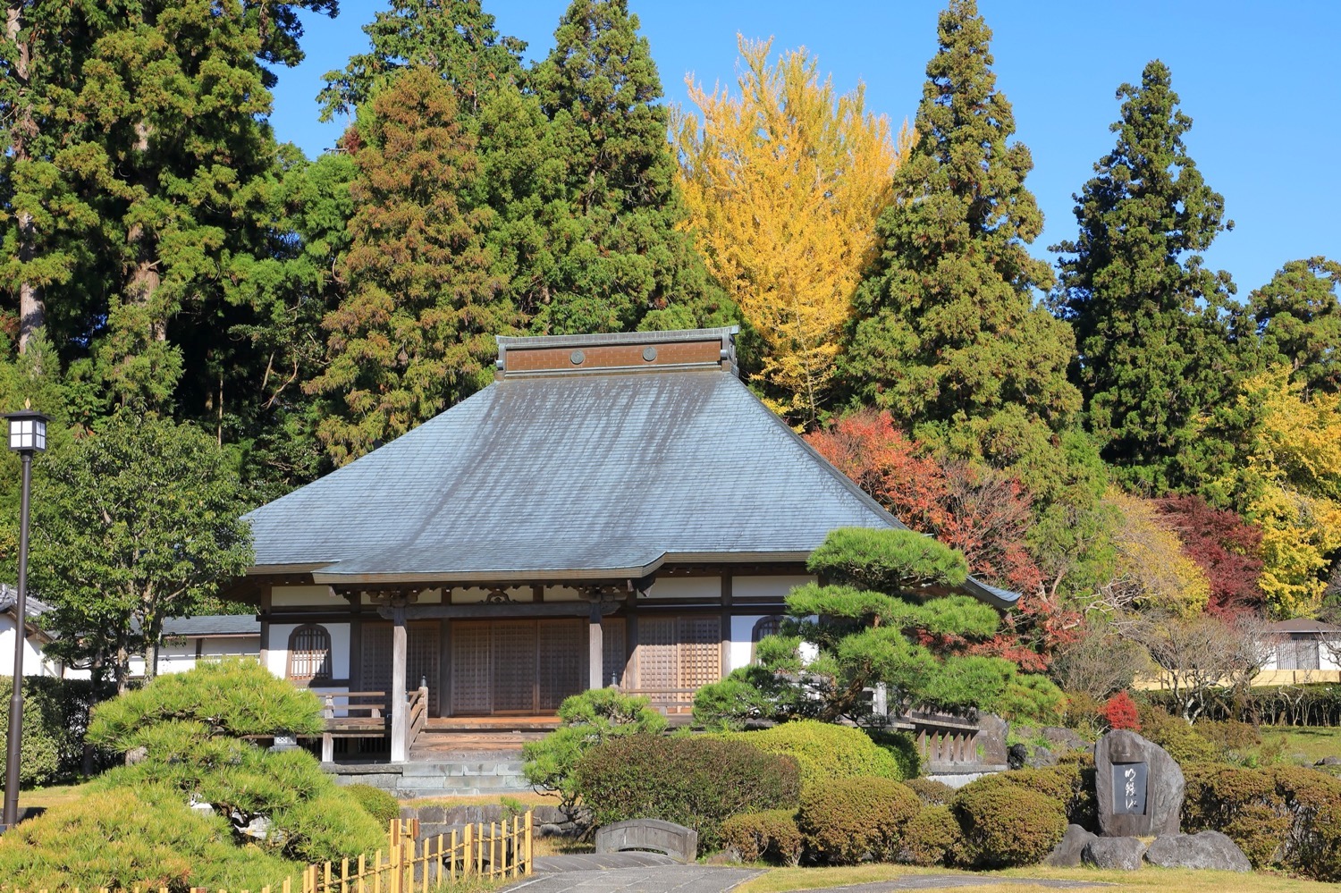 placeholder image-sq