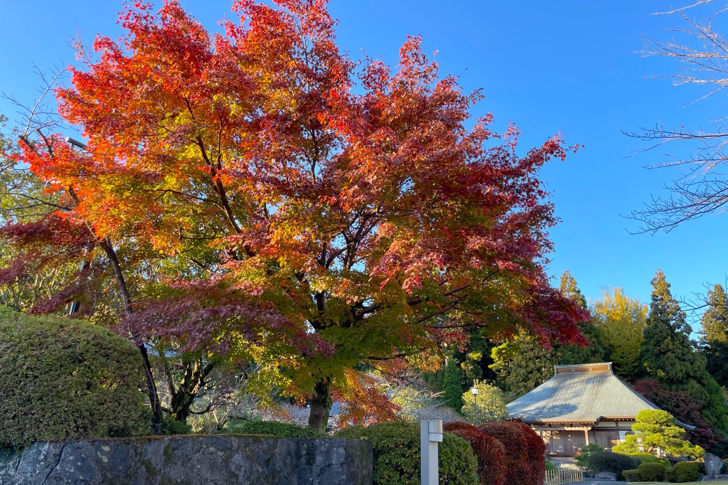 placeholder image-sq