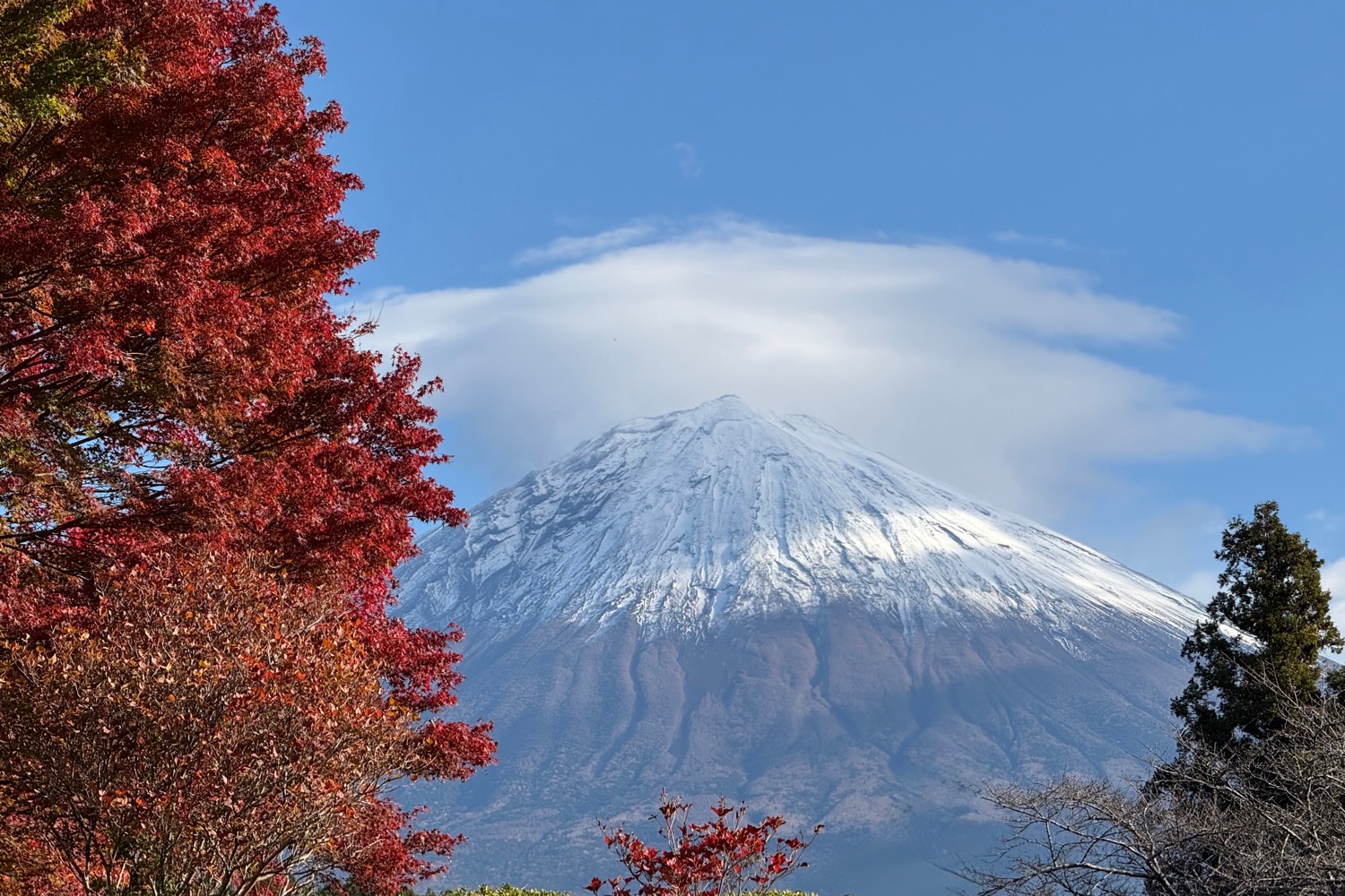 placeholder image-sq