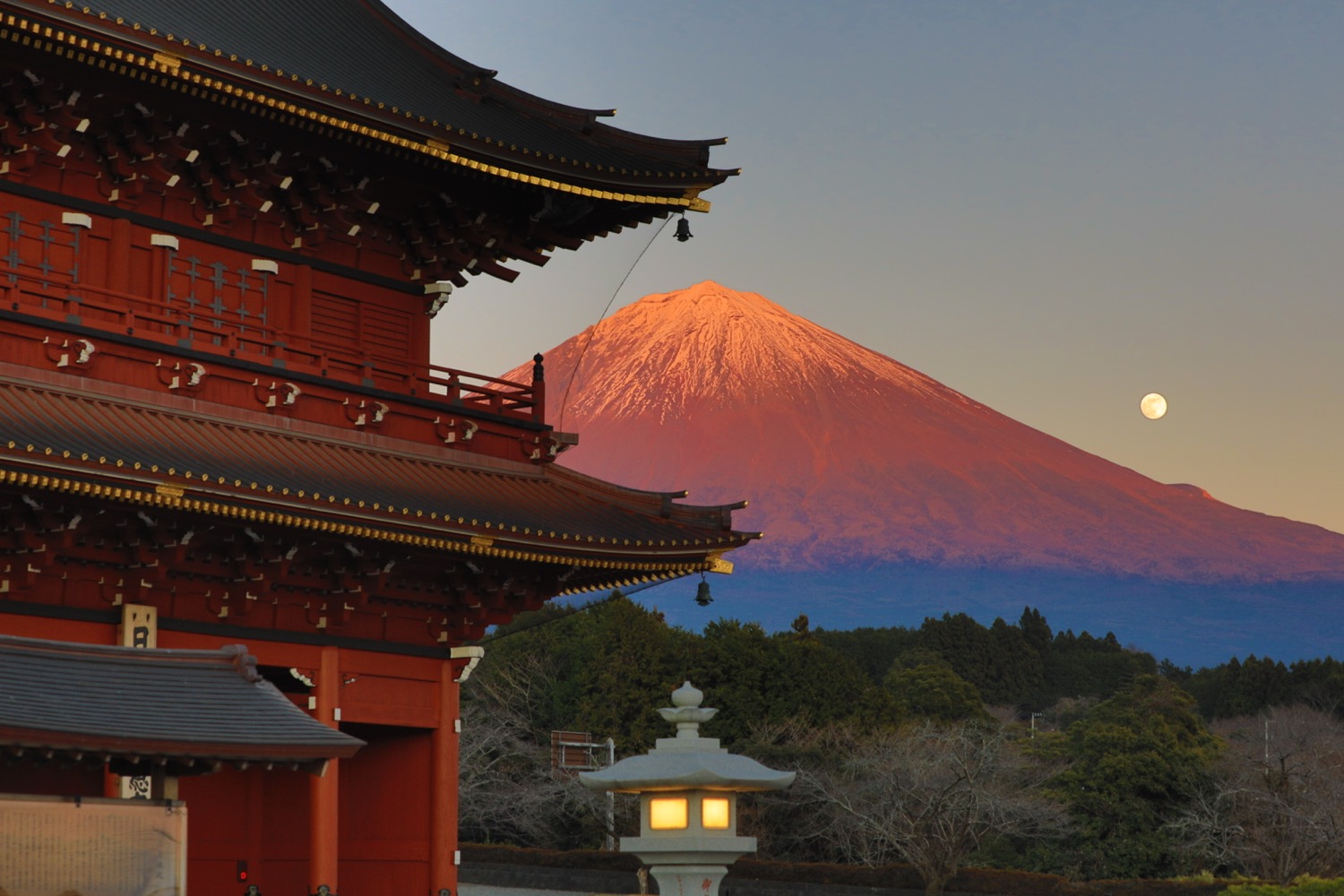 placeholder image-sq