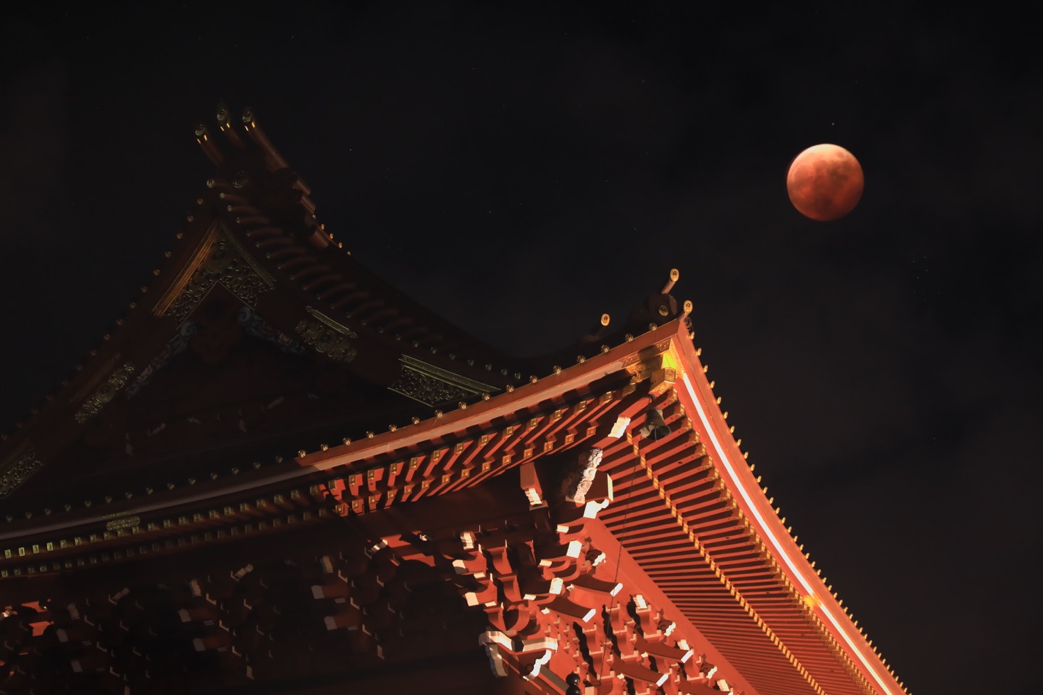 placeholder image-sq