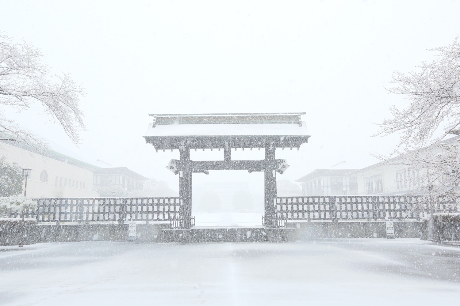 placeholder image-sq