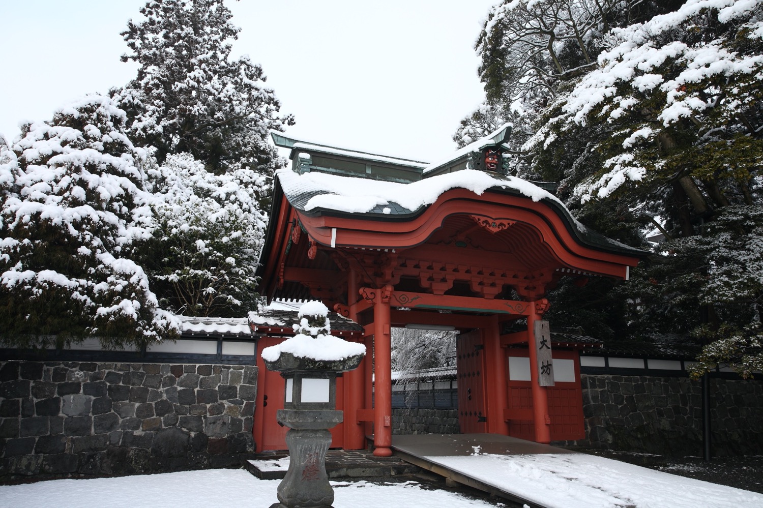 placeholder image-sq