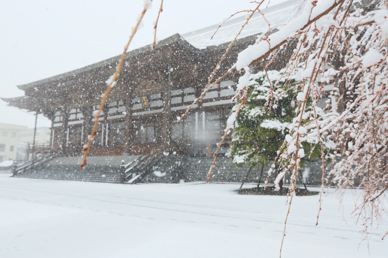 日蓮正宗公式ホームページ｜総本山大石寺｜総本山の四季〔冬〕