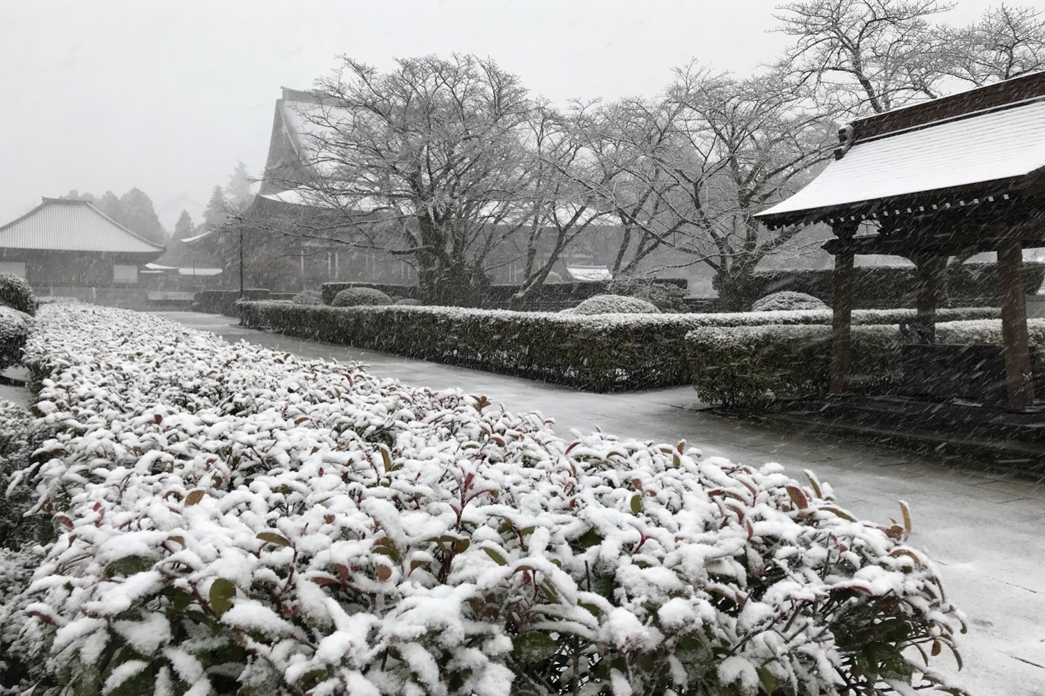 placeholder image-sq