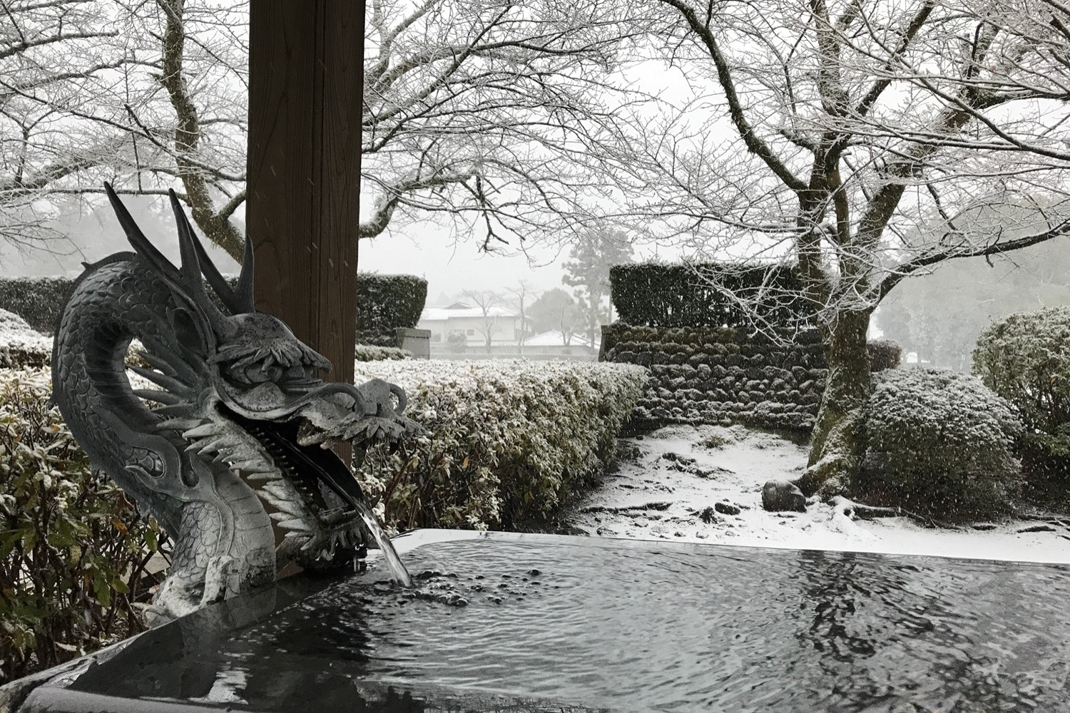 placeholder image-sq