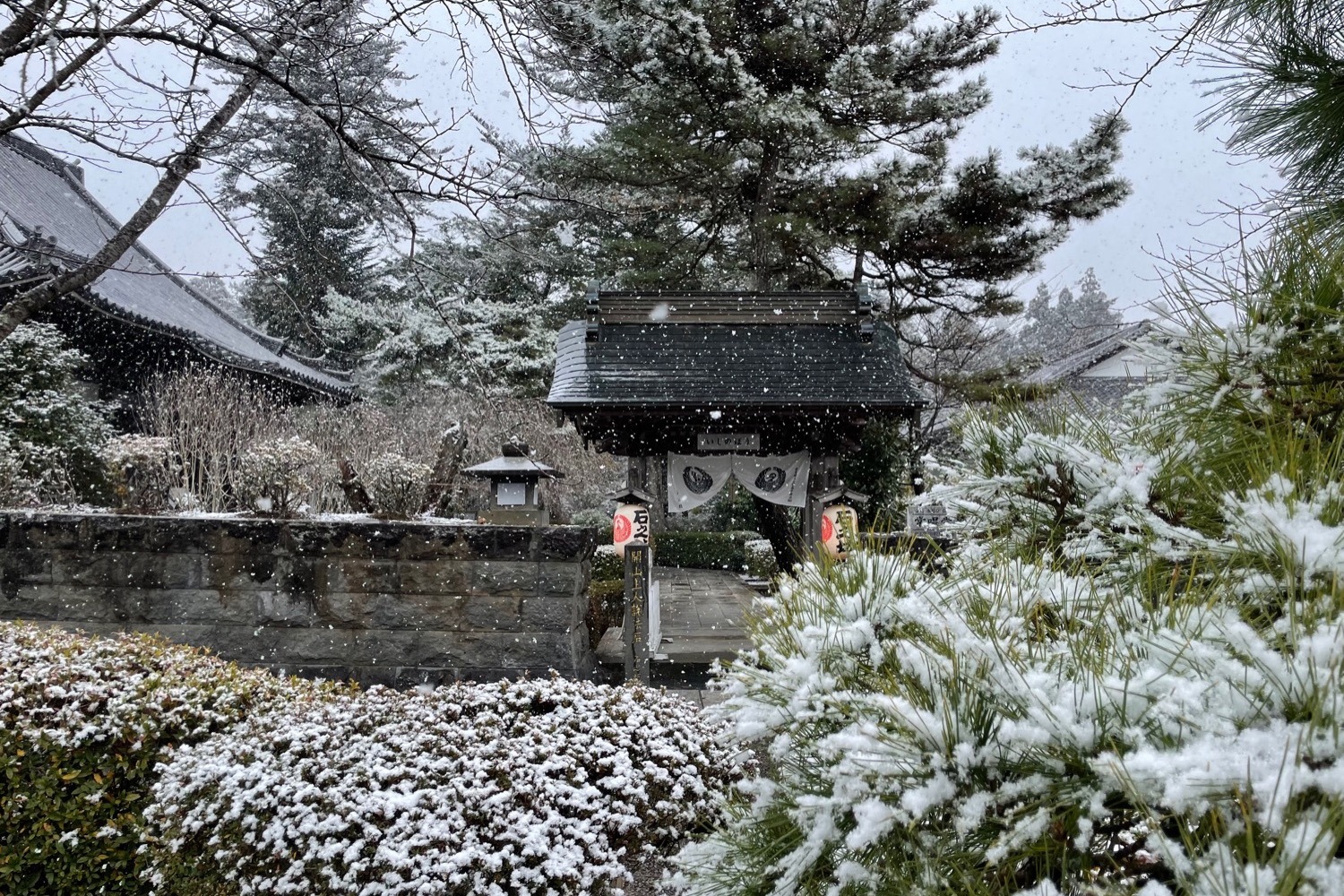 placeholder image-sq