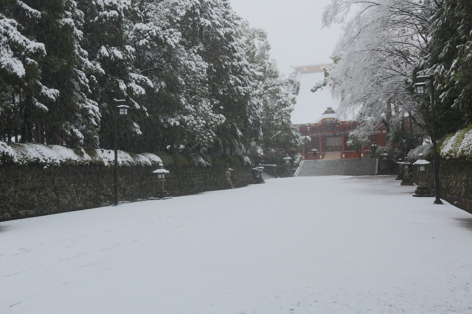 placeholder image-sq