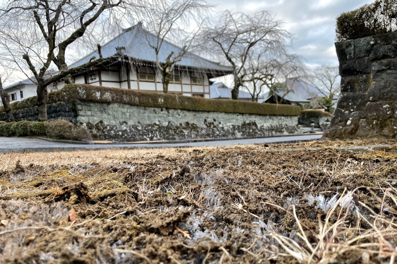 placeholder image-sq