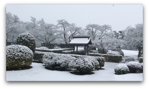 日蓮正宗公式ホームページ｜総本山大石寺｜総本山の四季〔冬〕